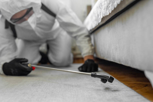 Professional Bed Bug Control technician working in Lincoln County County, NC